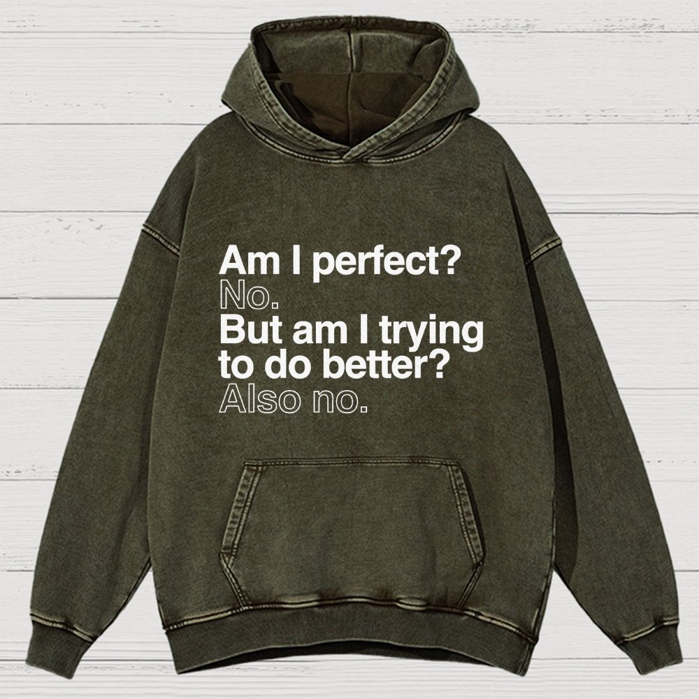 Am I Perfect No Vintage Distressed Hoodie