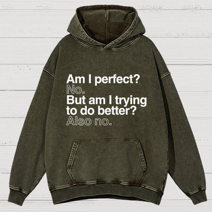 Am I Perfect No Vintage Distressed Hoodie