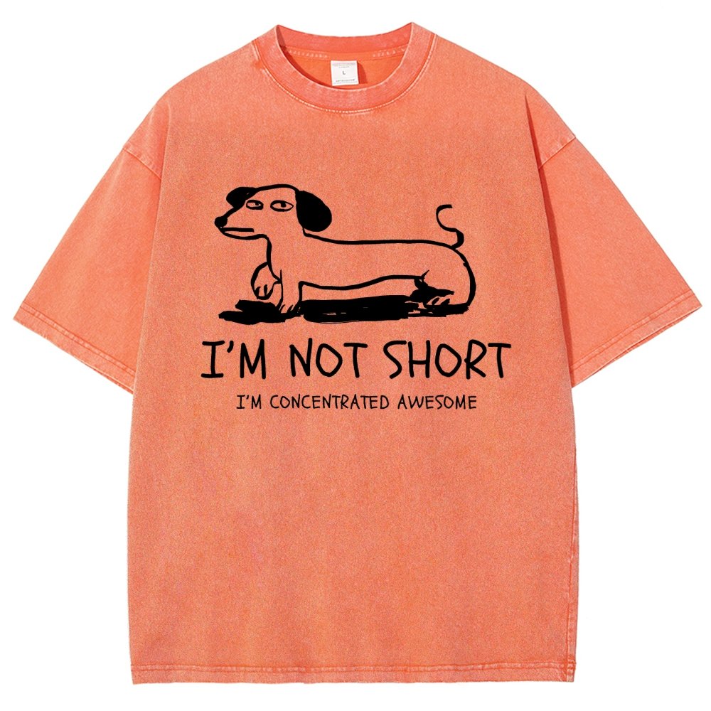 I'm Not Short Vintage Distressed T-shirt