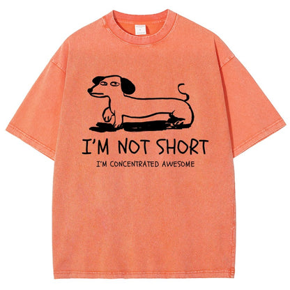 I'm Not Short Vintage Distressed T-shirt