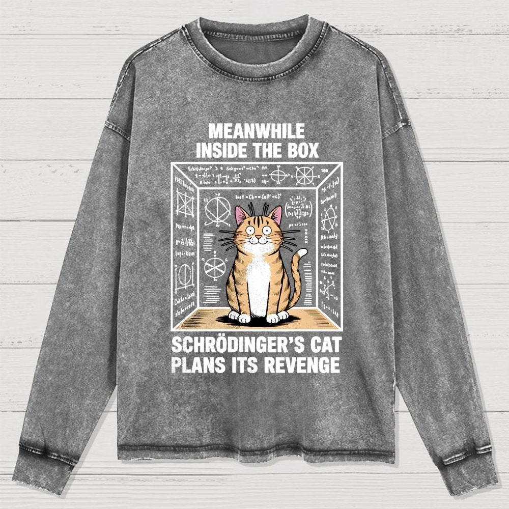 Schrodinger's Cat Escape Plan Washed Long Sleeve Tee