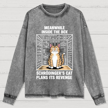 Schrodinger's Cat Escape Plan Washed Long Sleeve Tee