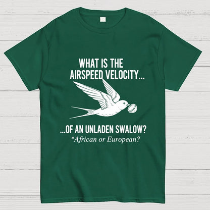 What Is The Airspeed Velocity...Art Print Geek T-Shirt