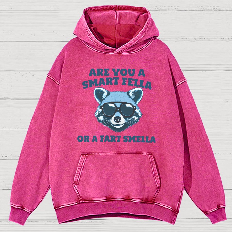 Are You A Smart Fella Or Fart Smella Vintage Distressed Hoodie