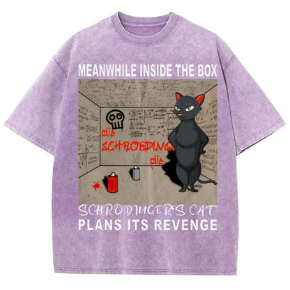 Inside The Box：Schrödingers Cat Plans Its Revenge Vintage Distressed T-shirt