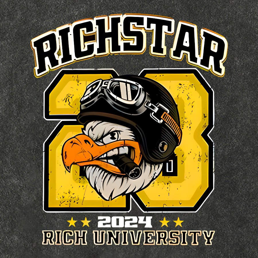Rich Star Graphic Print Vintage Distressed T-shirt