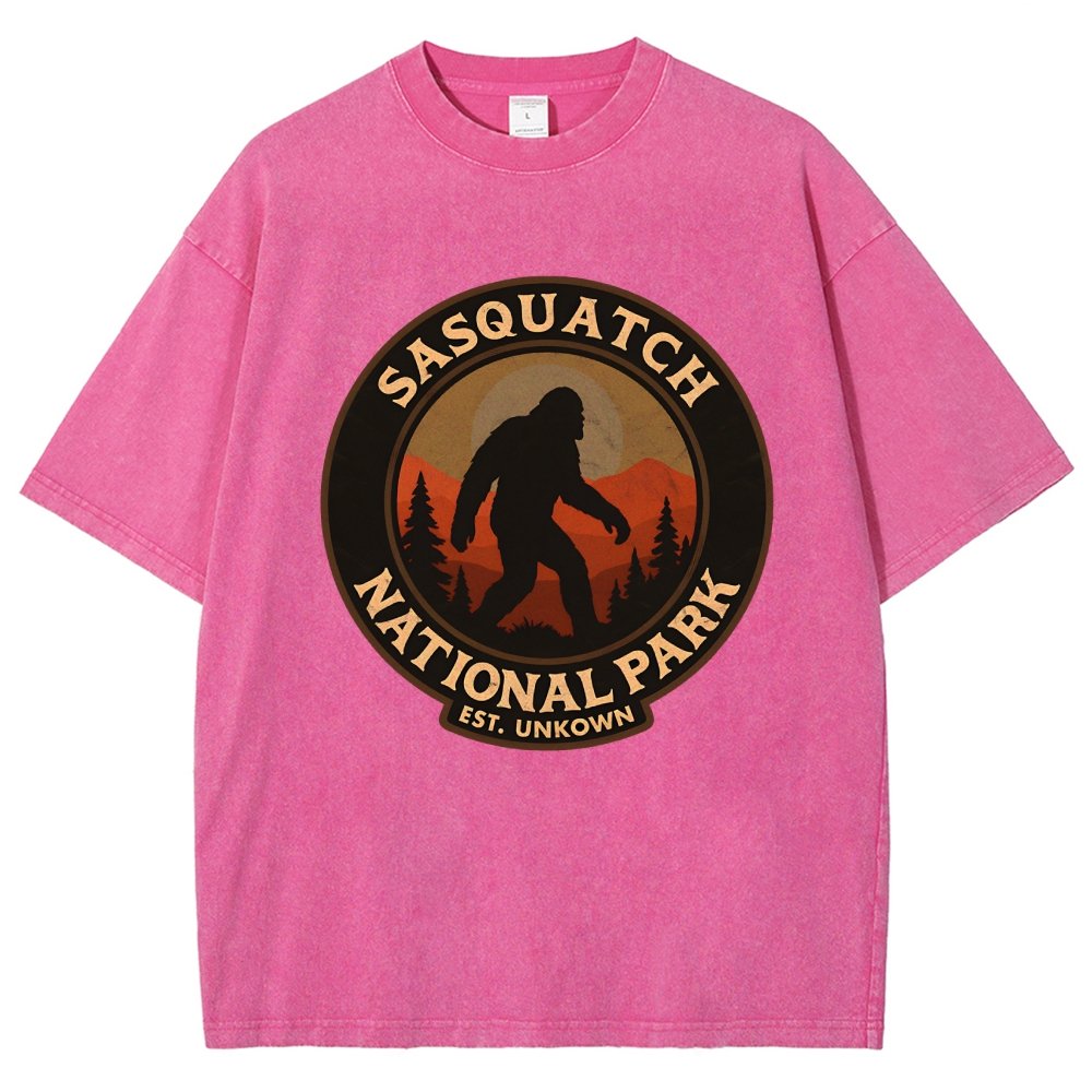 Sasquatch National Park Vintage Distressed T-shirt
