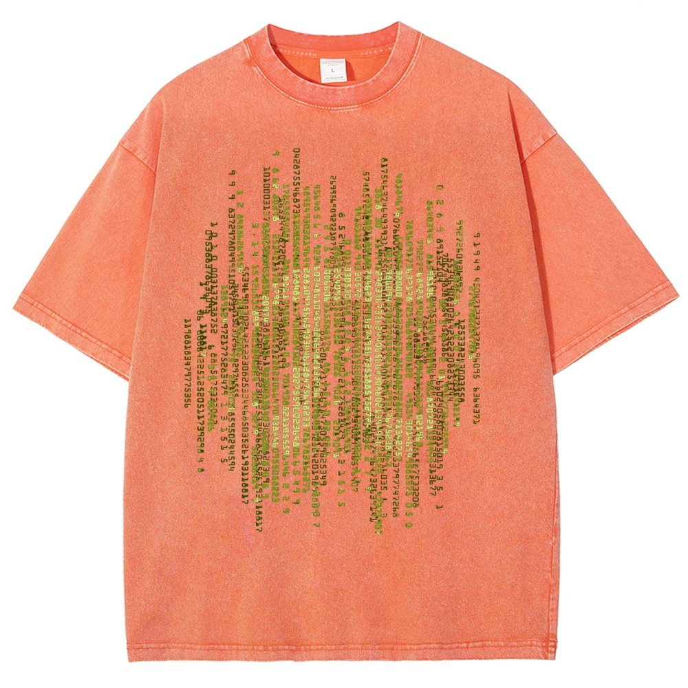 Enter The Pi Vintage Distressed T-shirt