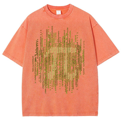 Enter The Pi Vintage Distressed T-shirt