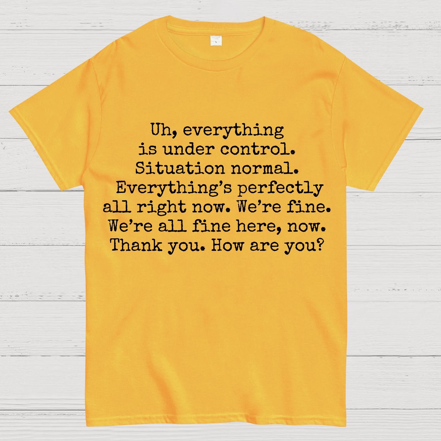 Everything Is Under Control Geek T-Shirt