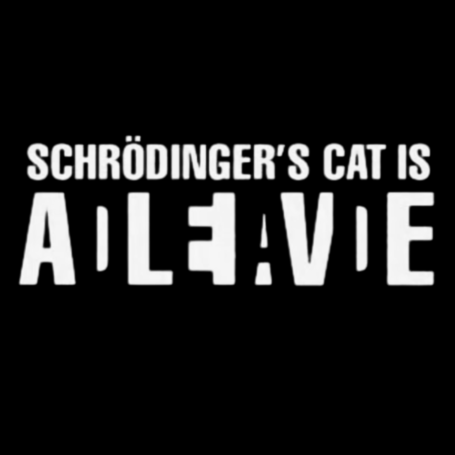 Schrödinger's Cat Adleiavde Geek Cotton Sweatshirt