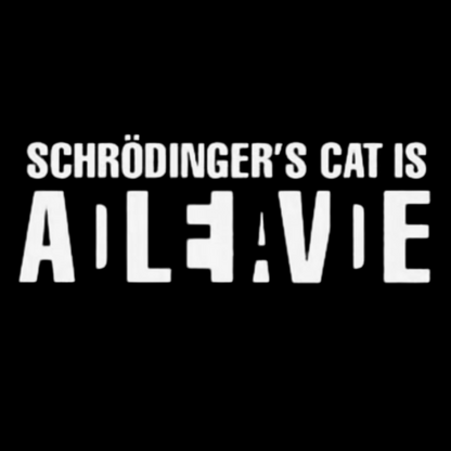 Schrödinger's Cat Adleiavde Geek Cotton Sweatshirt