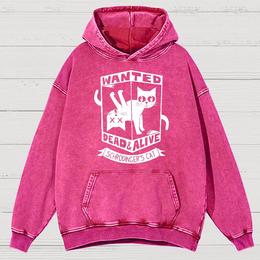 Schrödinger's Cat Mathe, Physics Vintage Distressed Hoodie
