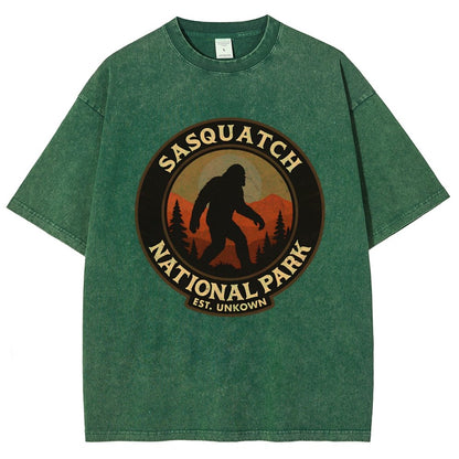 Sasquatch National Park Vintage Distressed T-shirt