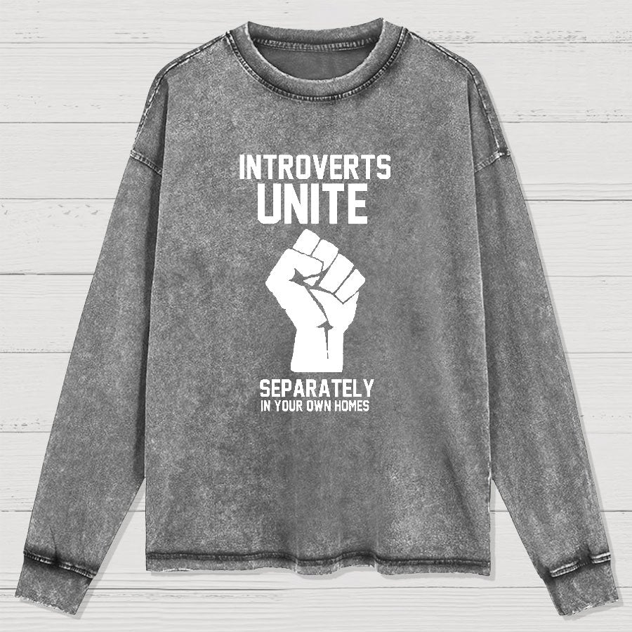 Introverts Unite Geek Washed Long Sleeve Tee