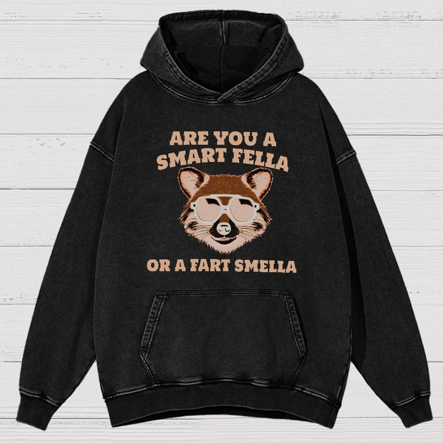 Are You A Smart Fella Or Fart Smella Vintage Distressed Hoodie