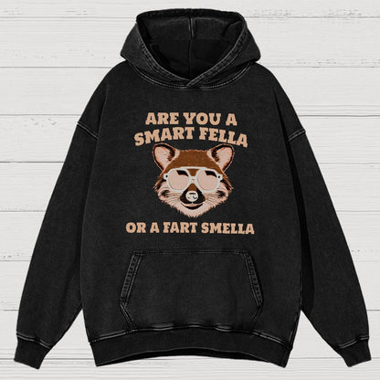 Are You A Smart Fella Or Fart Smella Vintage Distressed Hoodie