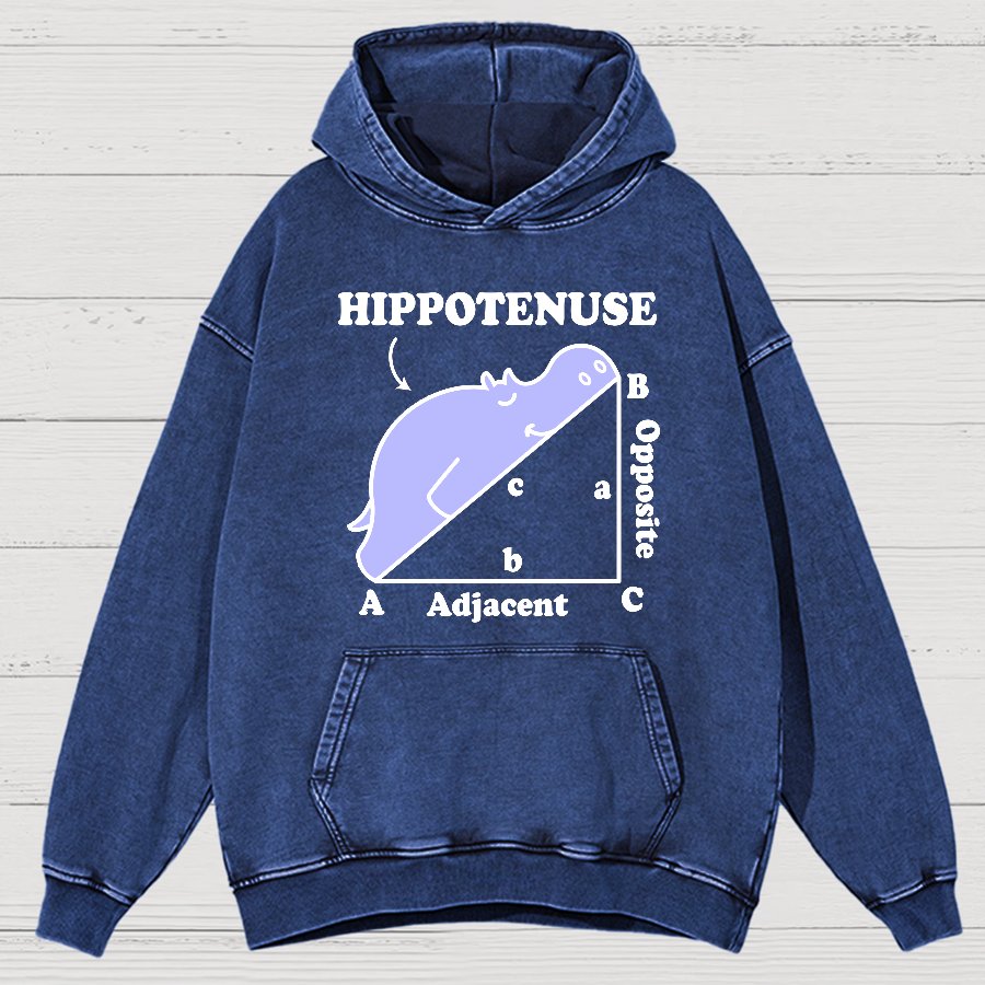 Hypotenuse Math Pun, Hippotenuse Essential Vintage Distressed Hoodie