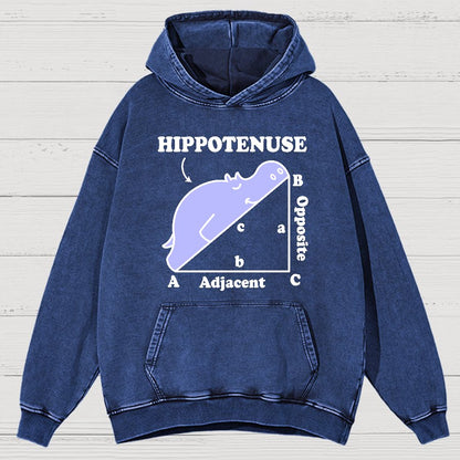 Hypotenuse Math Pun, Hippotenuse Essential Vintage Distressed Hoodie