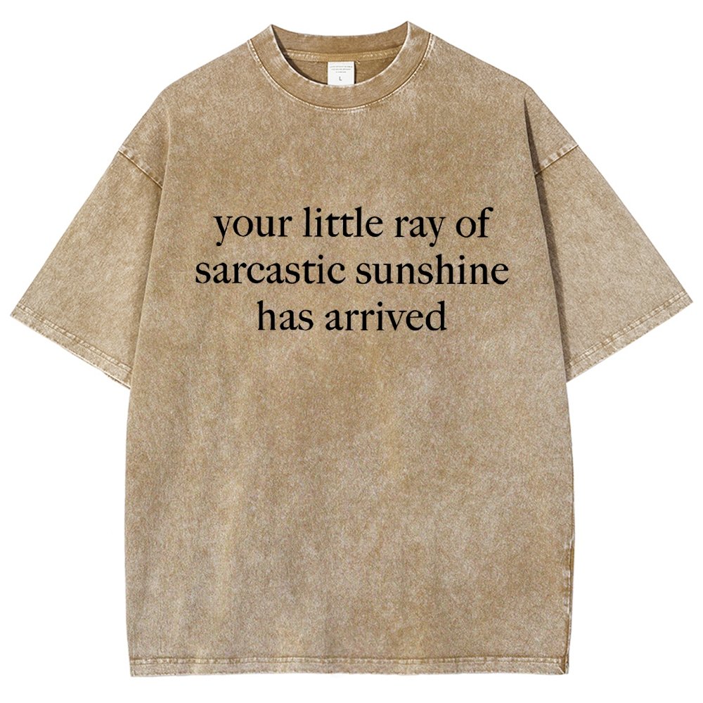 Your Little Ray of Sarcastic Sunshine Has Arrived Vintage Distressed T-shirt