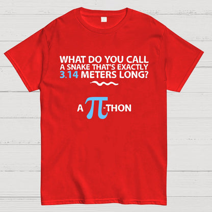 Funny Math Humor Snake Reptile 3.14 Pi Students Kids Geek T-Shirt