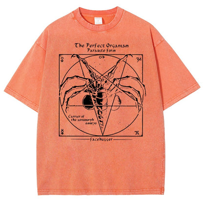 Mystery Pentagram Vintage Distressed T-shirt