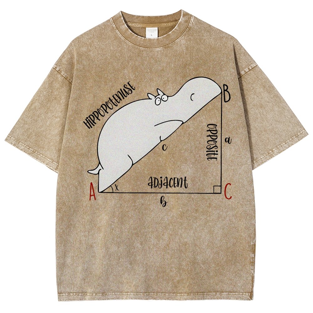 Interesting Math Teacher Math Lover Math Geek Vintage Distressed T-shirt