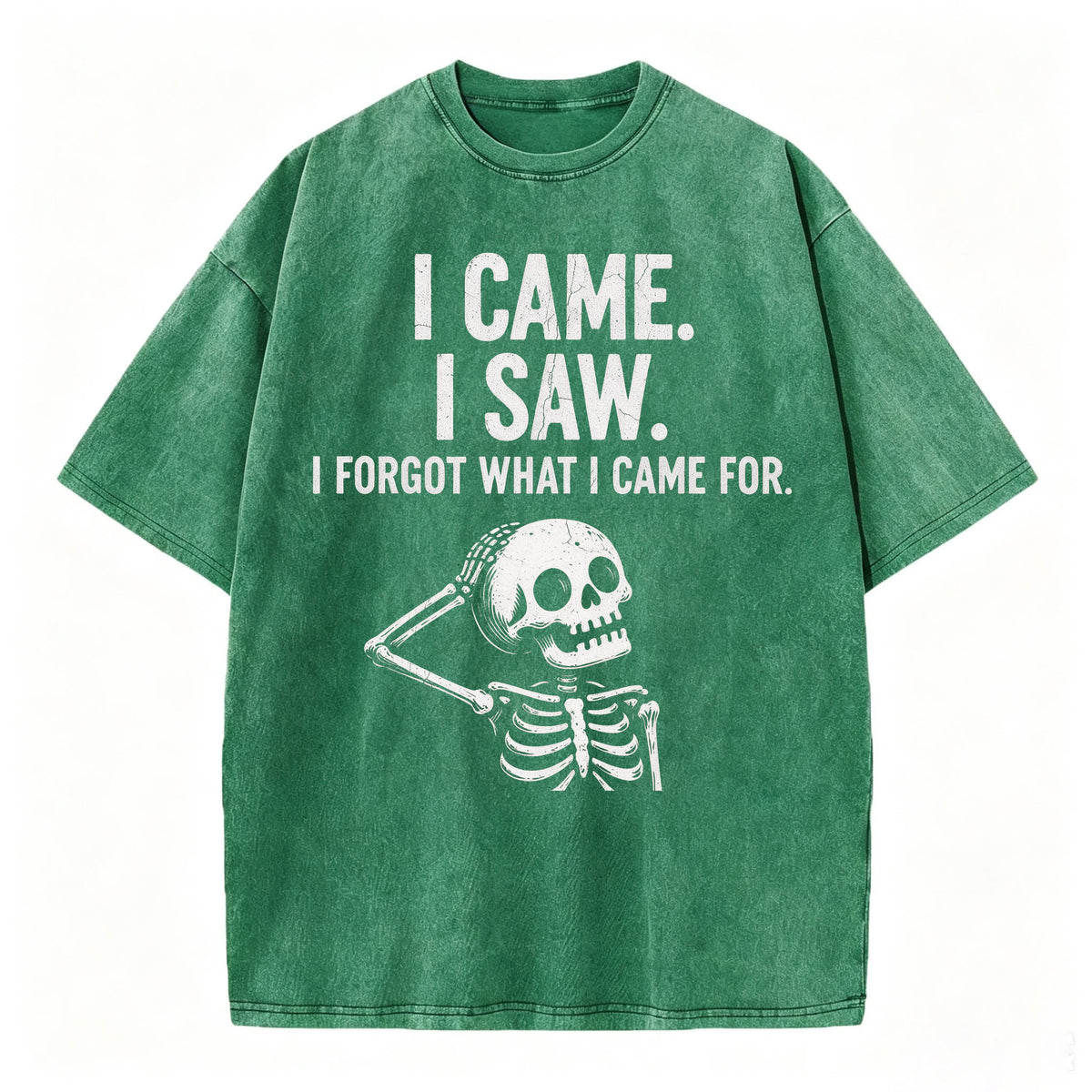 I Came. I Saw. I Forgot What I Came For. Funny Dark Humor T-Shirt
