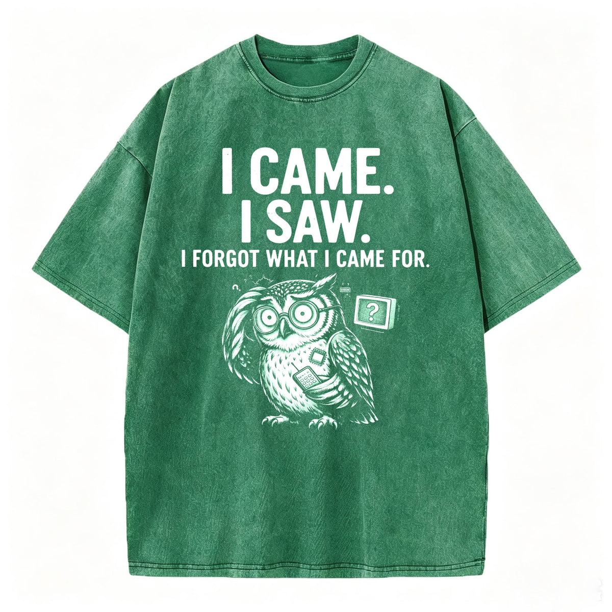 I Came. I Saw. I Forgot What I Came For. Funny Owl Vintage T-Shirt