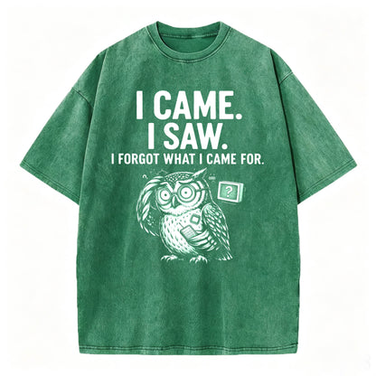 I Came. I Saw. I Forgot What I Came For. Funny Owl Vintage T-Shirt