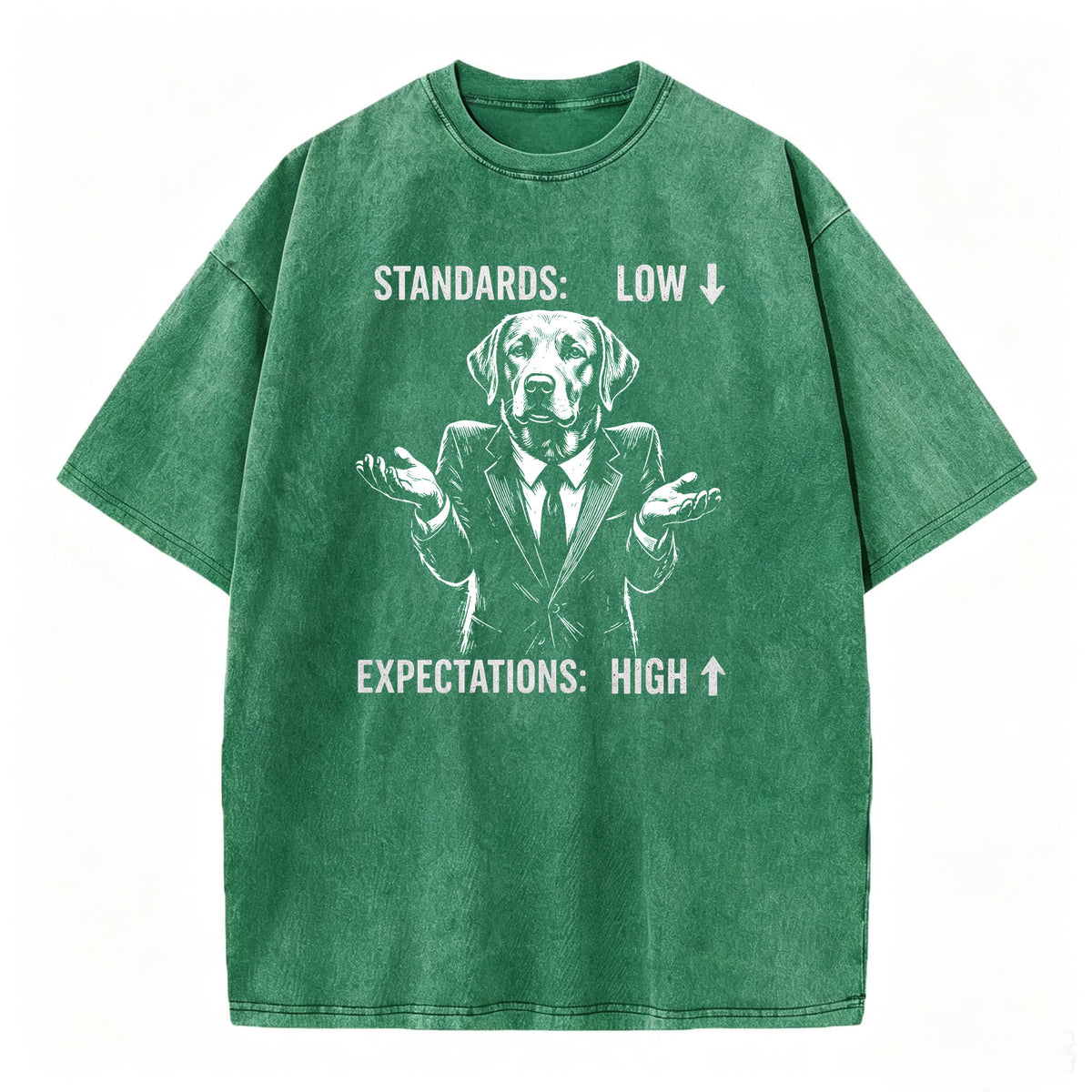 Standards Low Expectations High Funny Sarcastic T-Shirt