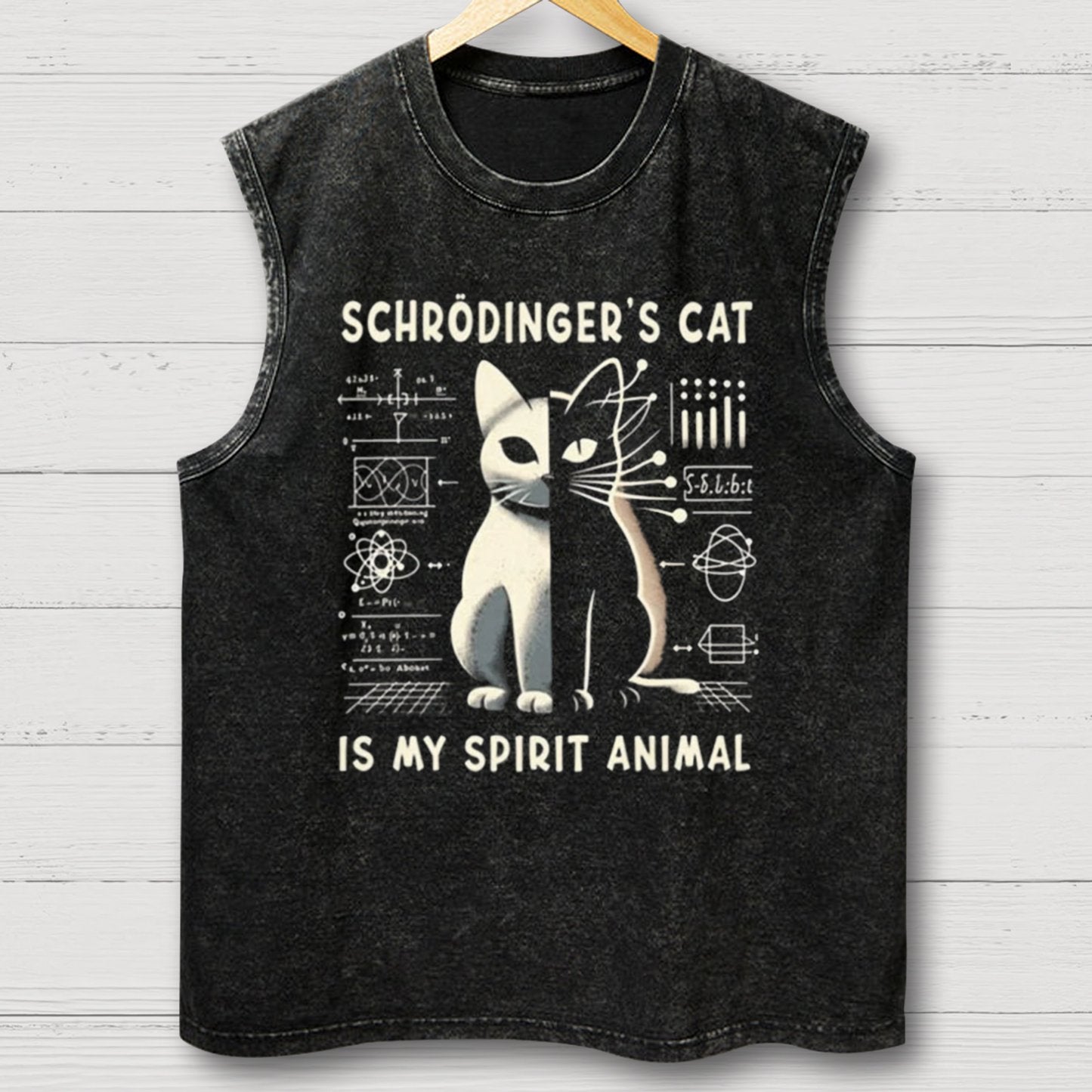 Schrodinger's Сat Science Vintage Distressed Washed Tank