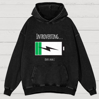 Introverting Vintage Distressed Hoodie
