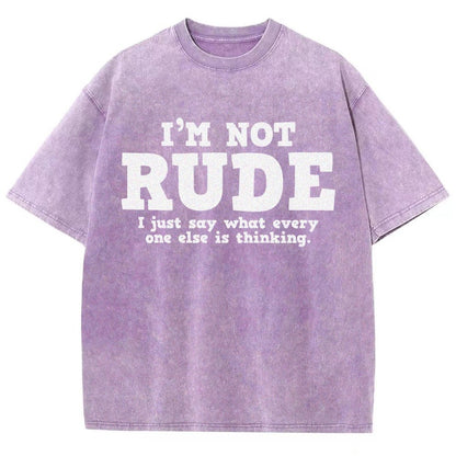 I'm not Rude I Just Have The Balls to Say What Everyone Else is Thinking Vintage Distressed T-shirt