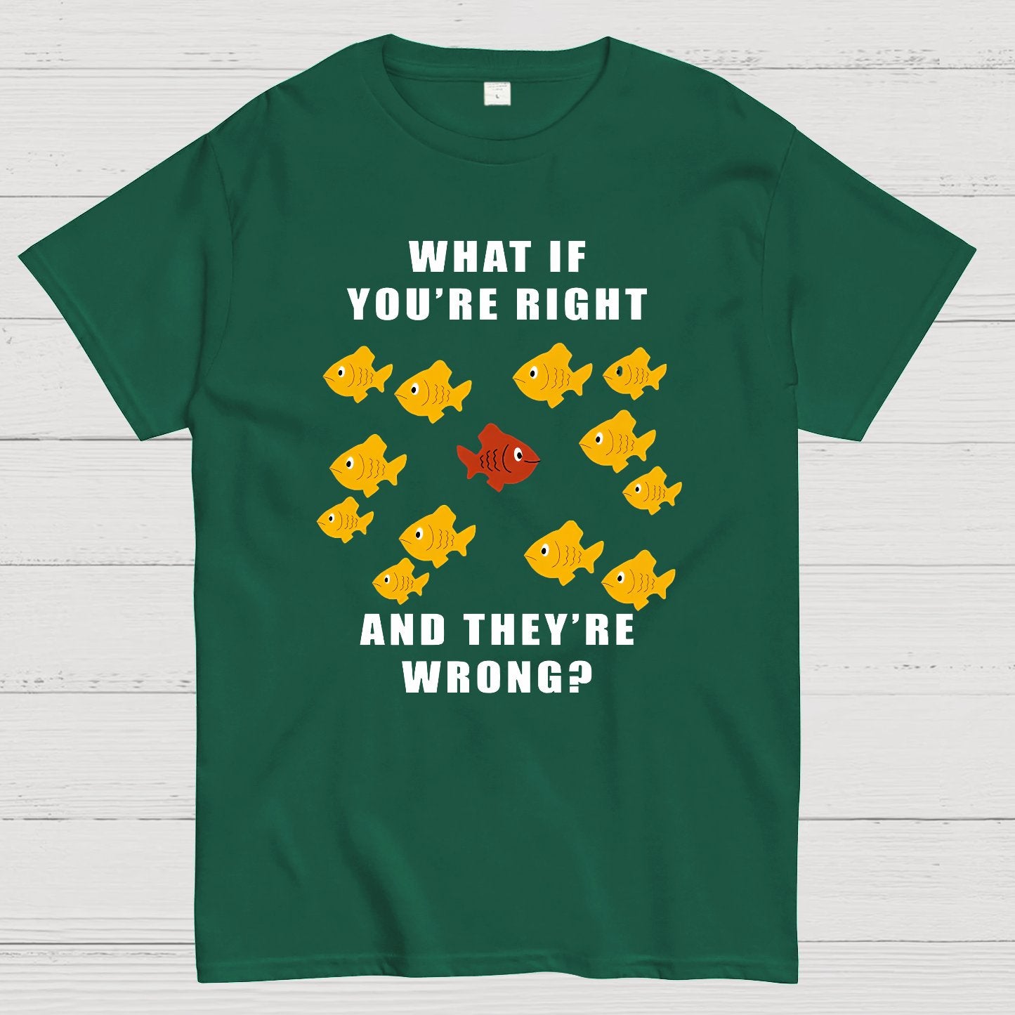 What If You're Right And They're Wrong Geeky T-Shirt