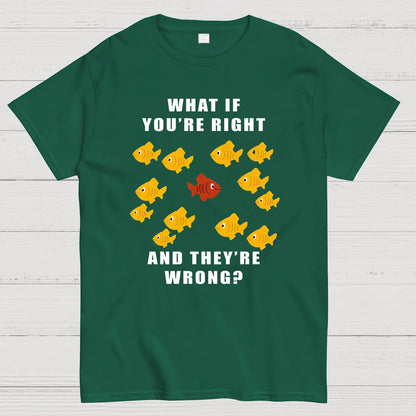 What If You're Right And They're Wrong Geeky T-Shirt