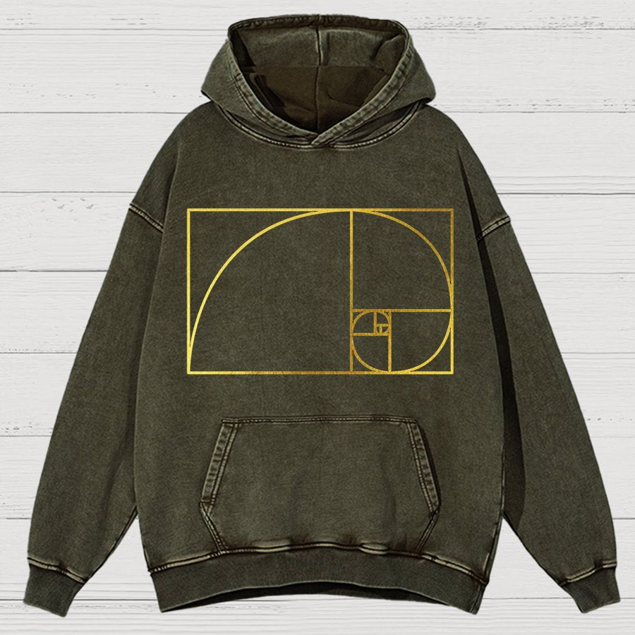 Distressed Fibonacci Spiral Geek Graphic Vintage Distressed Hoodie
