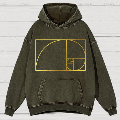 Distressed Fibonacci Spiral Geek Graphic Vintage Distressed Hoodie