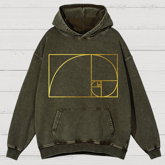 Distressed Fibonacci Spiral Geek Graphic Vintage Distressed Hoodie