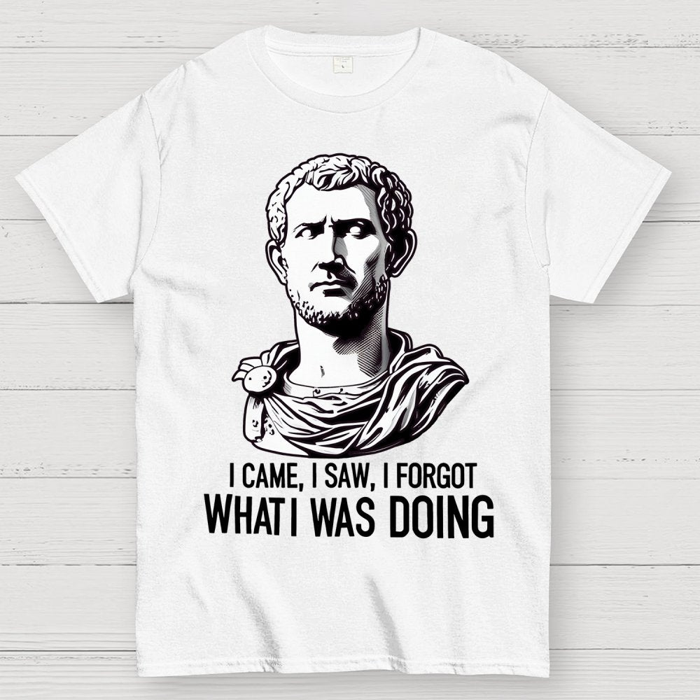 I Came  I saw  I forgot What I was Doing Geek T-Shirt