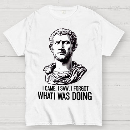 I Came  I saw  I forgot What I was Doing Geek T-Shirt