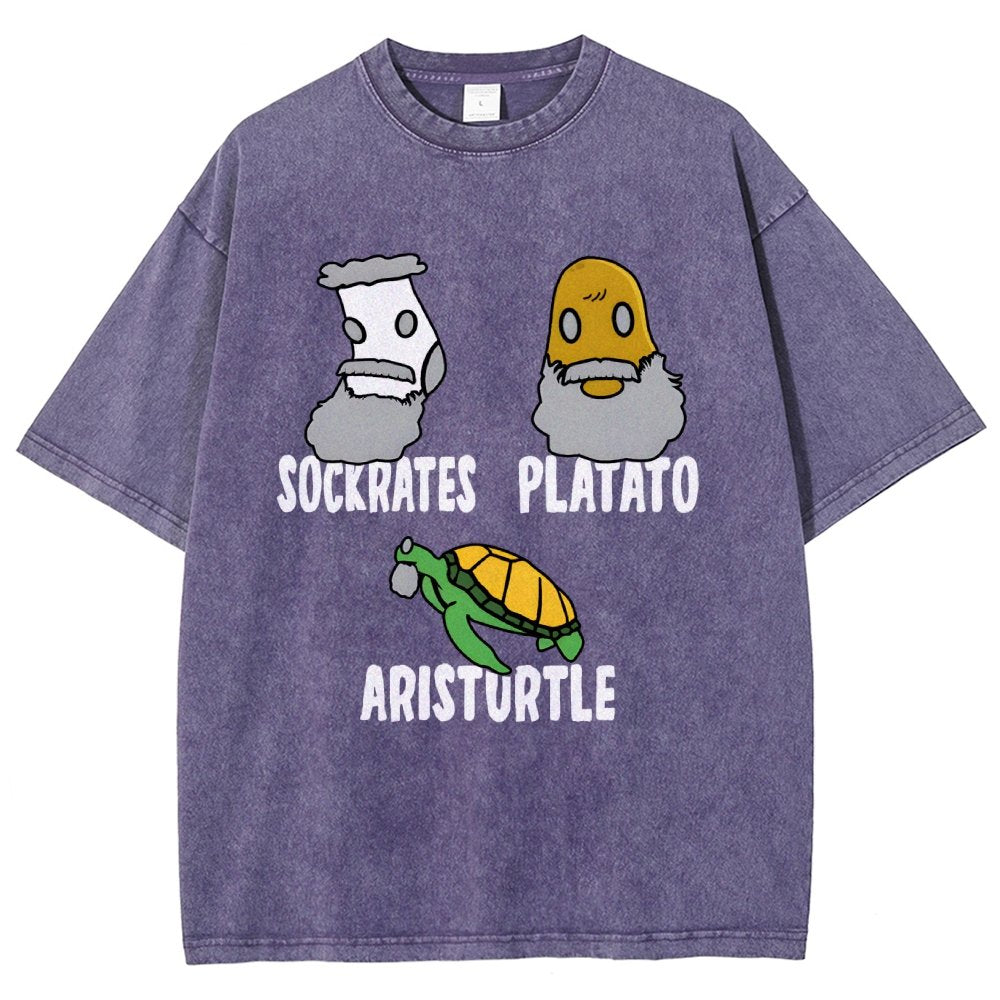 Sockrates Platato Aristurtle Vintage Distressed T-shirt