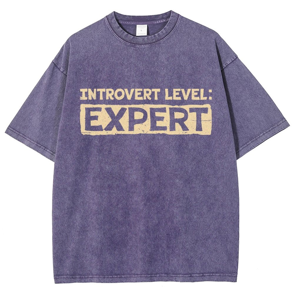 Introvert Level:Expert Vintage Distressed T-shirt