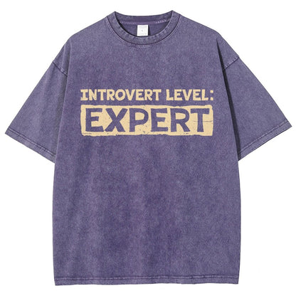 Introvert Level:Expert Vintage Distressed T-shirt