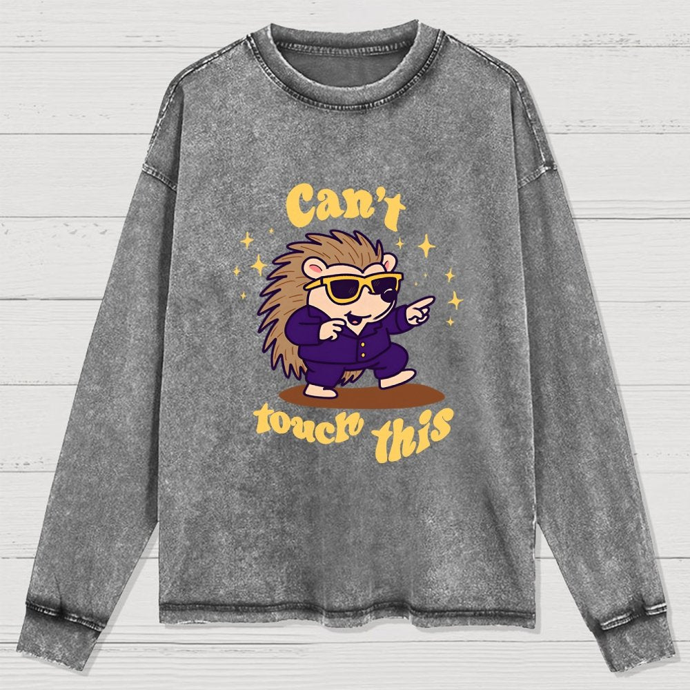 Can't touch this Washed Long Sleeve Tee