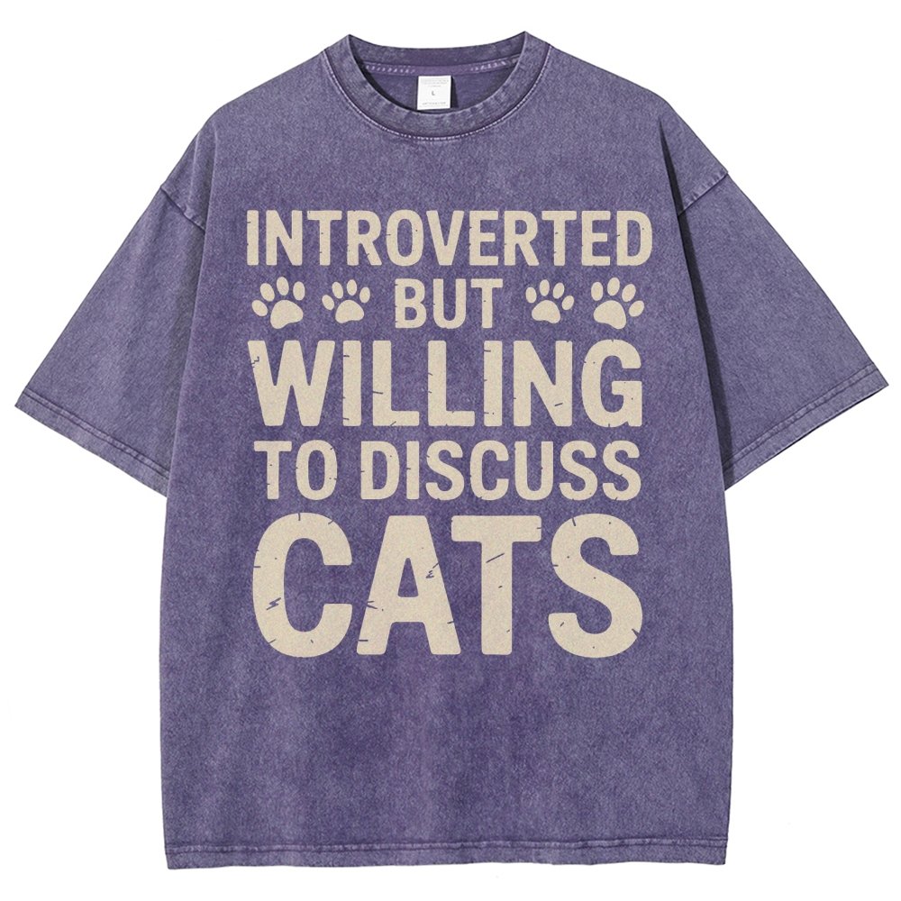 Introverted Vintage Distressed T-shirt