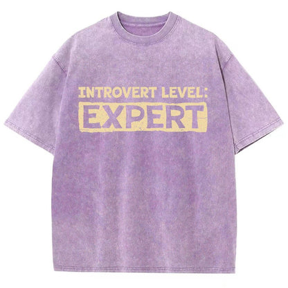 Introvert Level:Expert Vintage Distressed T-shirt