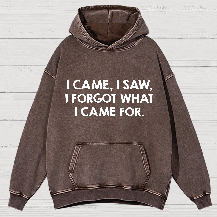 I Came and Saw Funny  Vintage Distressed Hoodie
