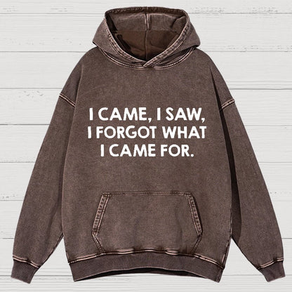 I Came and Saw Funny  Vintage Distressed Hoodie