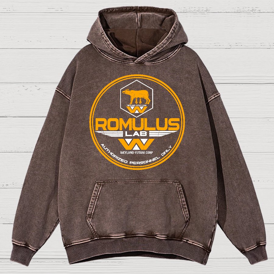 Aurora Lab Vintage Distressed Hoodie